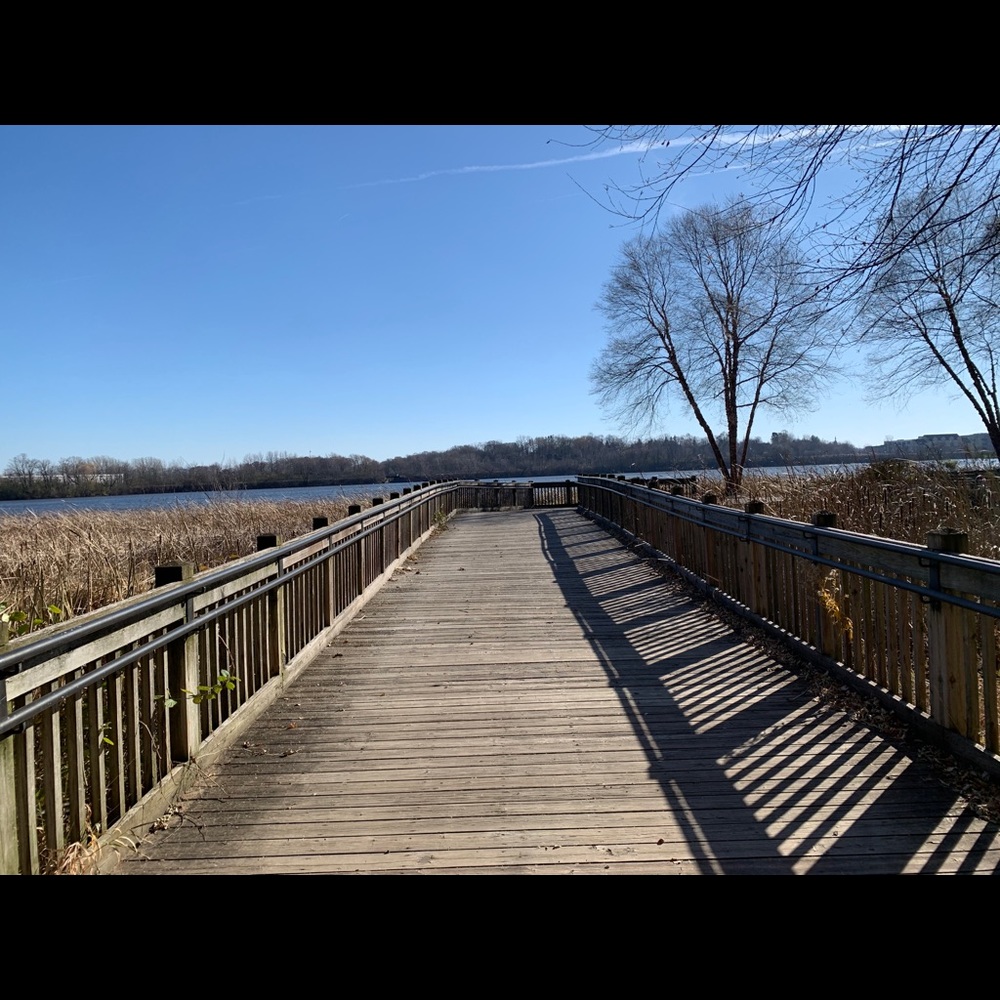 Meet your Posher, Jenny